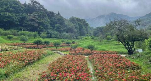 石门国家森林公园